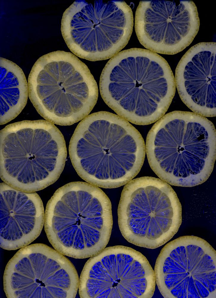 Photograph by Дарья Зубкова