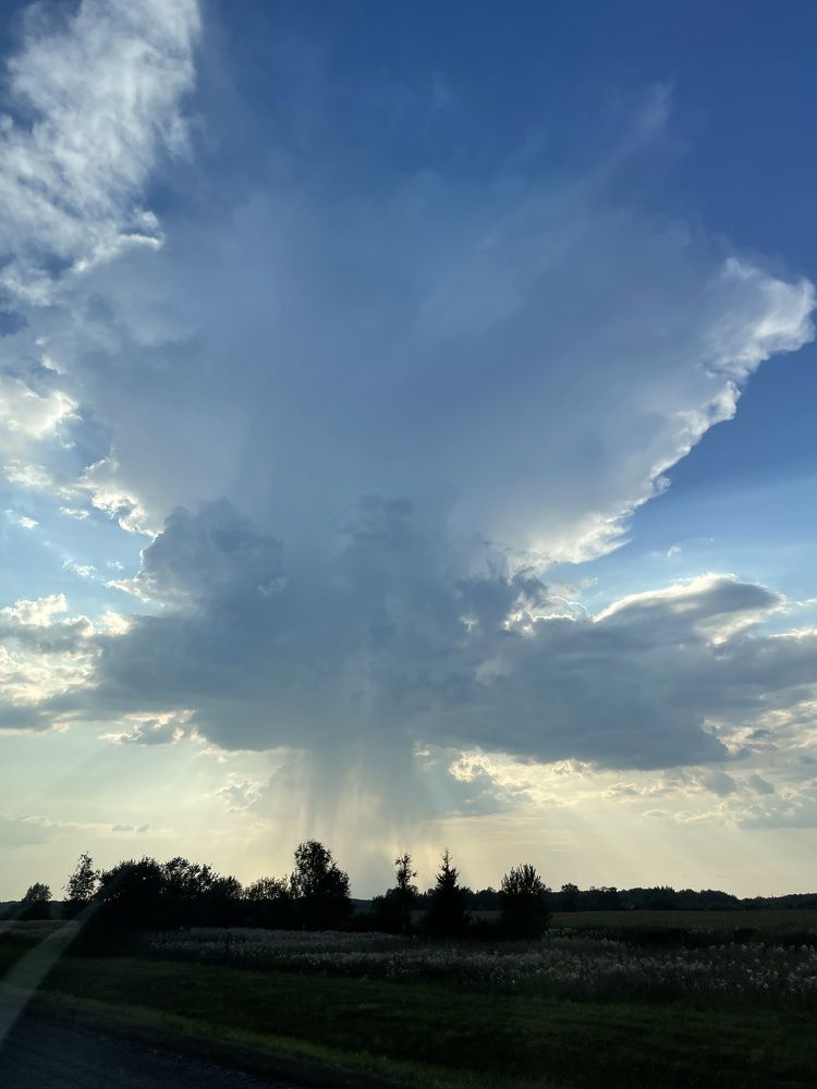 Photograph by Надежда Заломаева