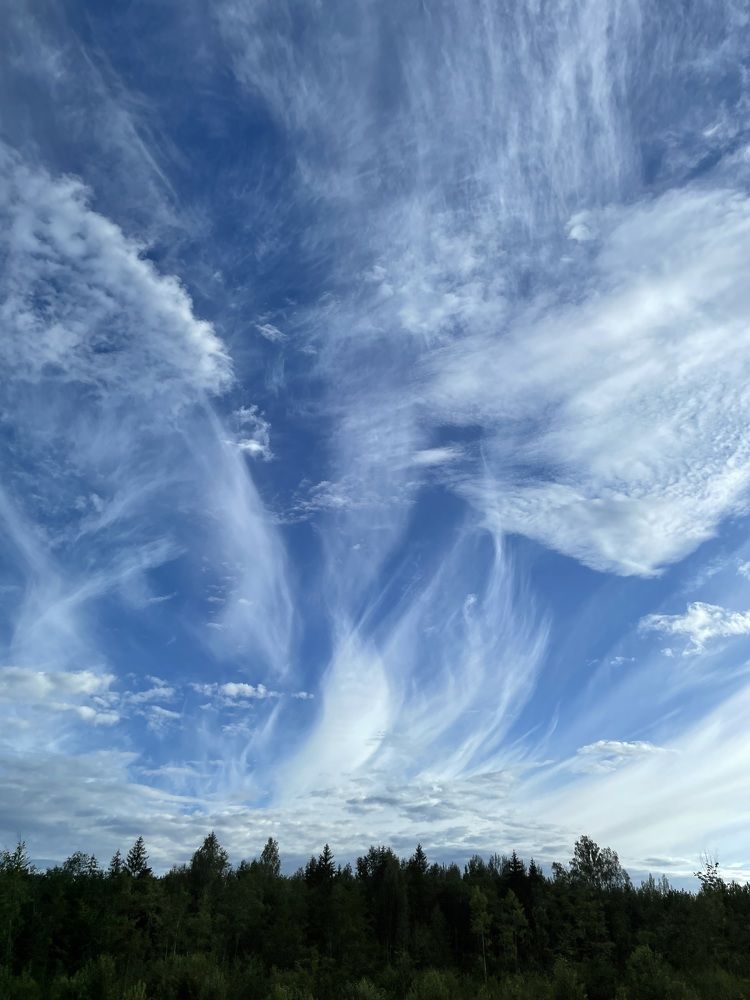 Photograph by Надежда Заломаева