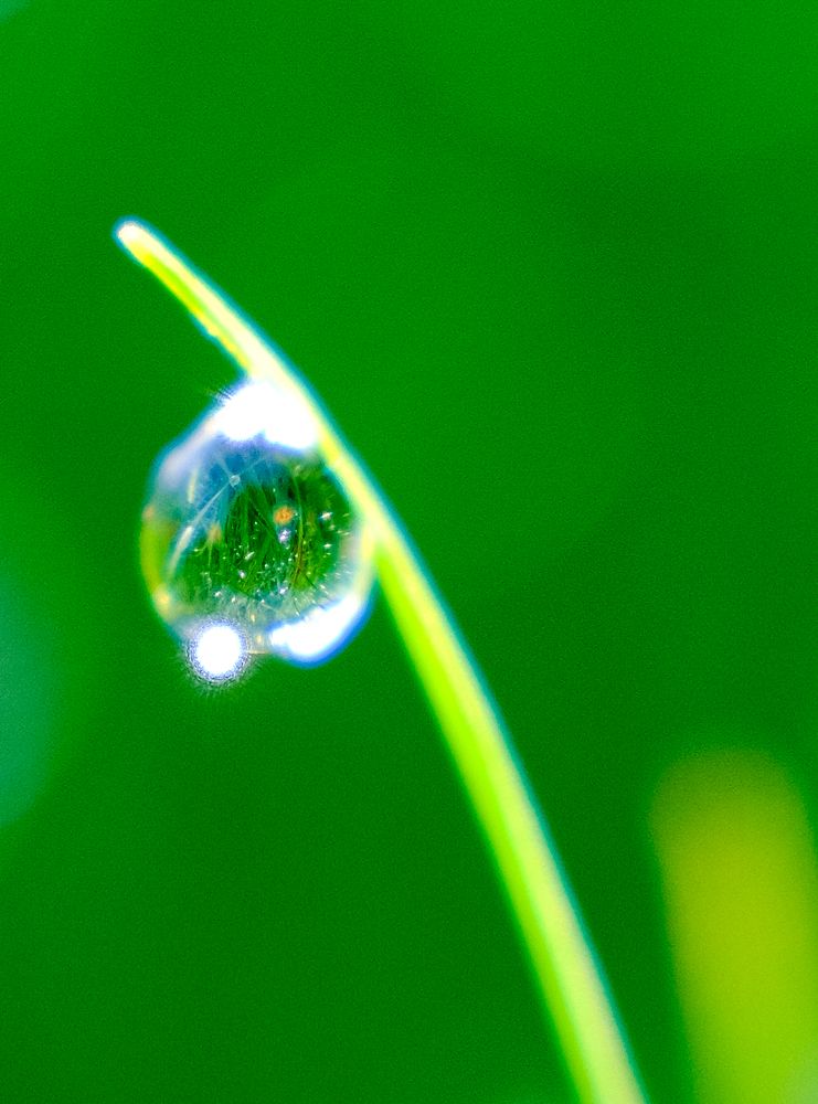 Photograph by Константин Агеев