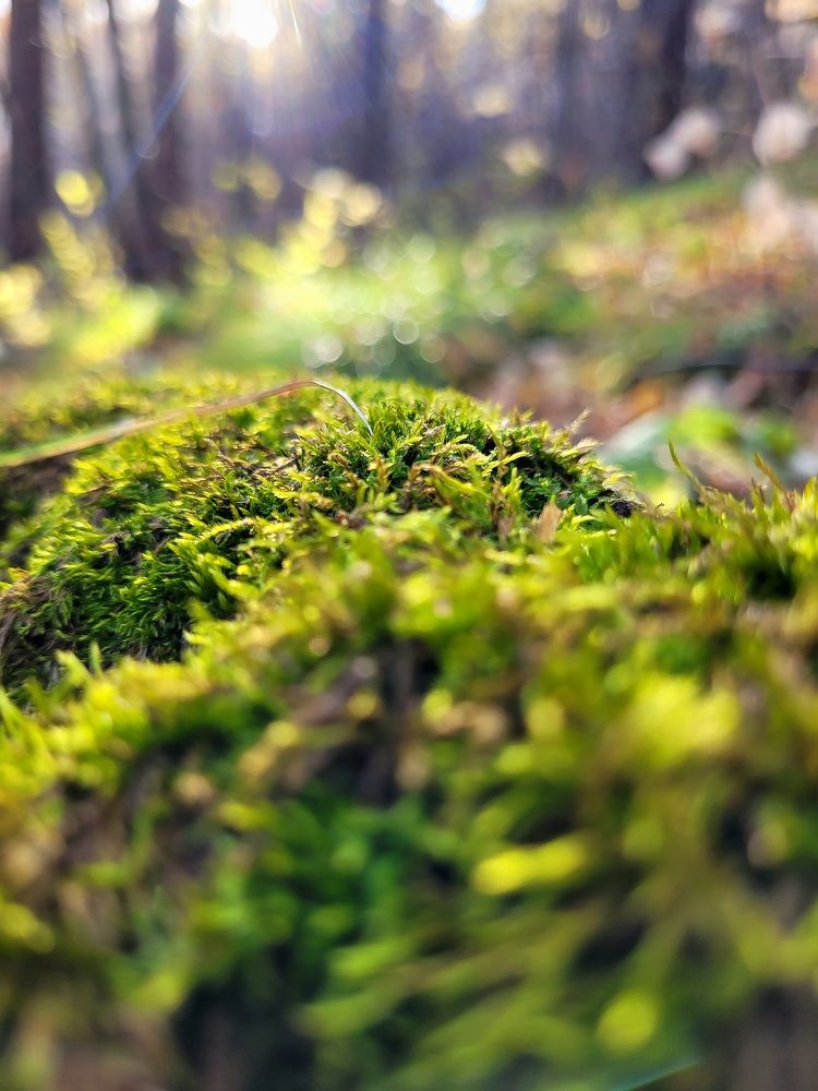 Photograph by Константин Агеев