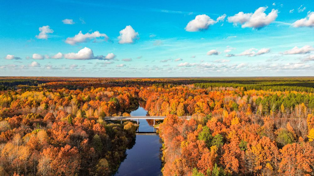 Photograph by Ксения Илюшина