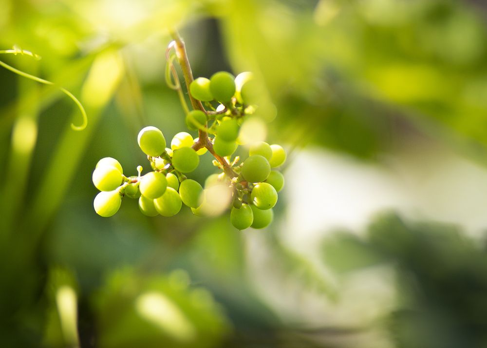 Photograph by Гаранцева Елизавета