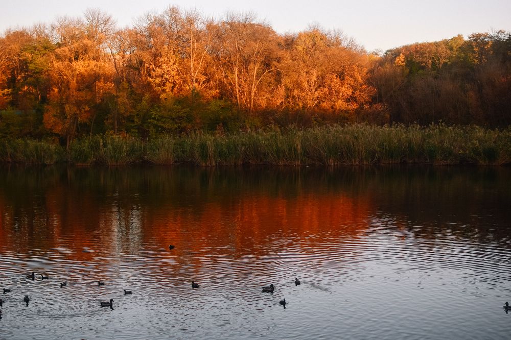 Photograph by Лидия