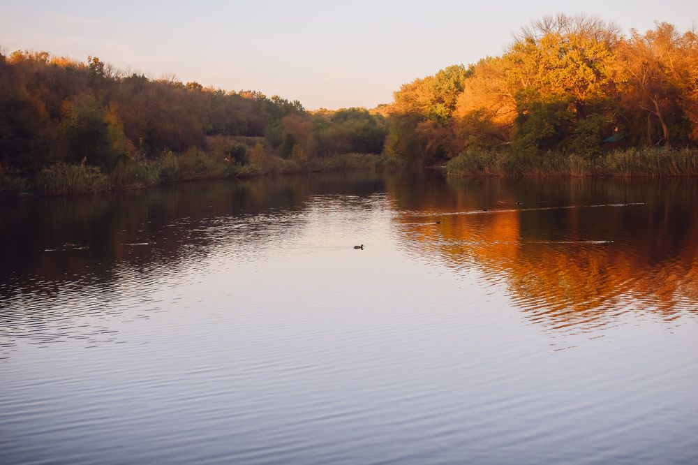 Photograph by Лидия