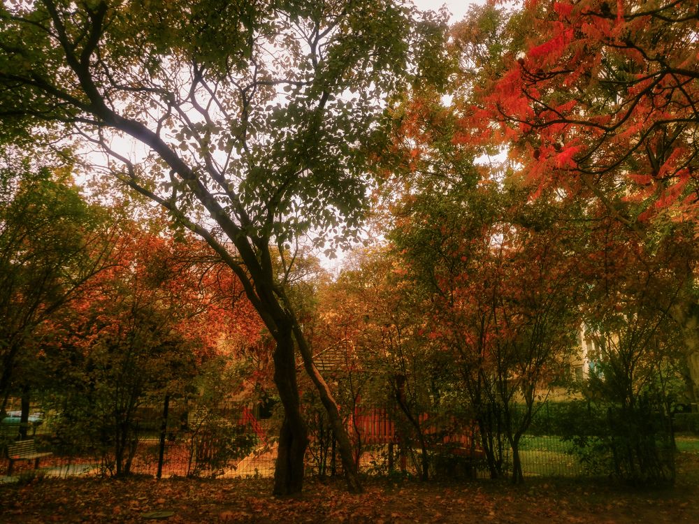 Фотография автора Nomin Jerabek