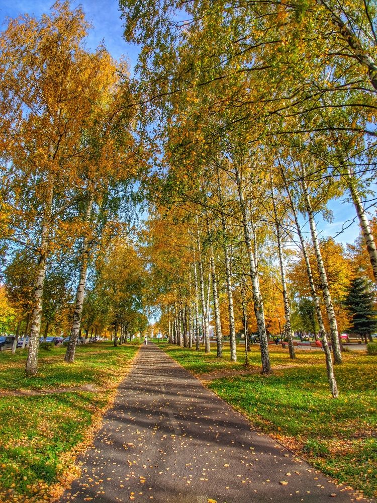 Photograph by Алексей Царевский