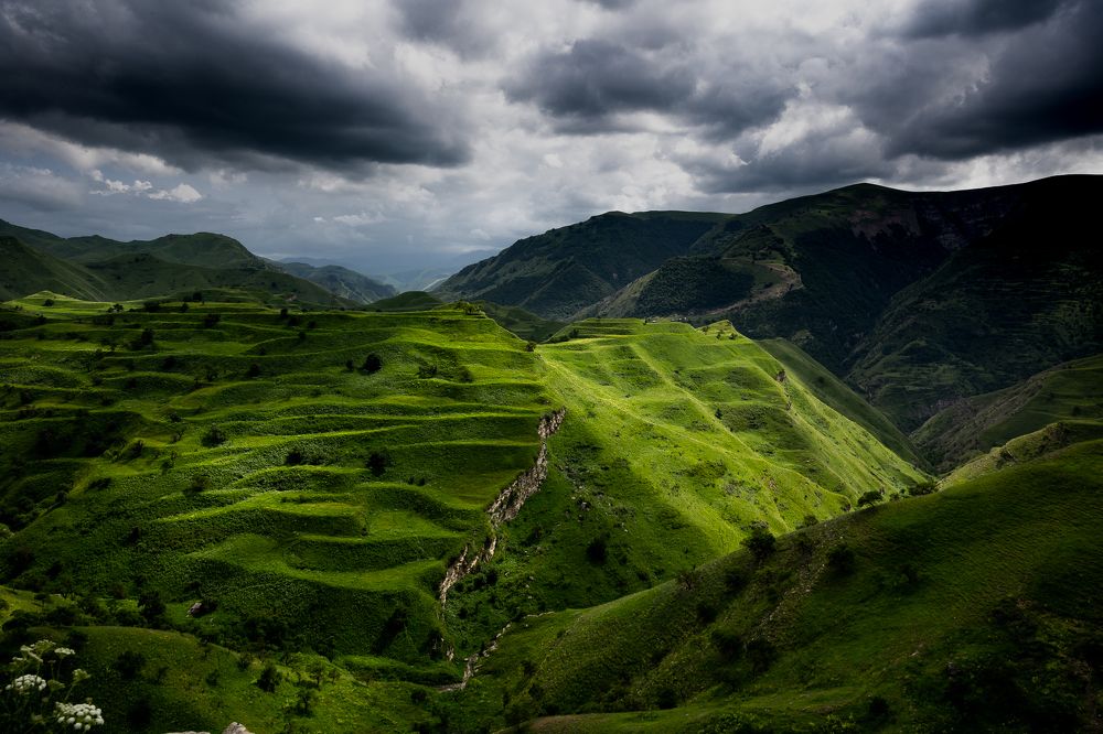 Photograph by Мария Раздорова