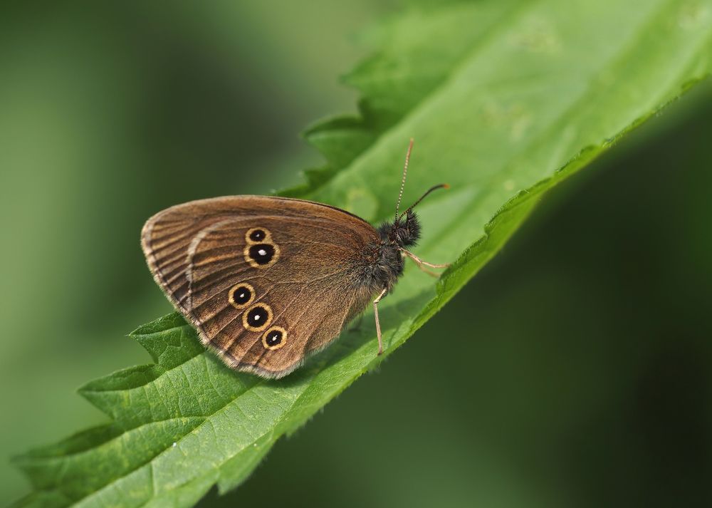 Photograph by Александр Попов