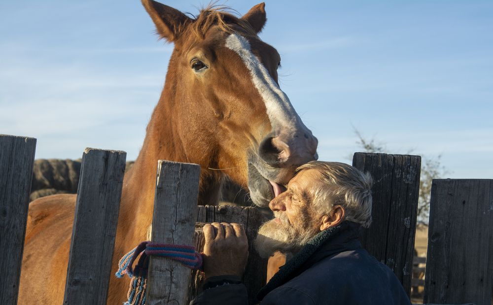 Фотография автора Светлана Воротынцева