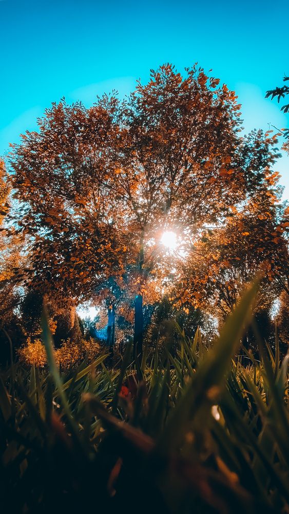 Photograph by صدرا