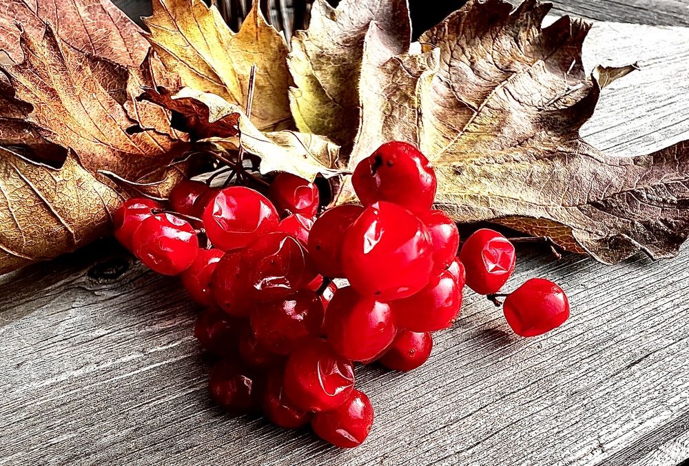 Photograph by Елена Мизина