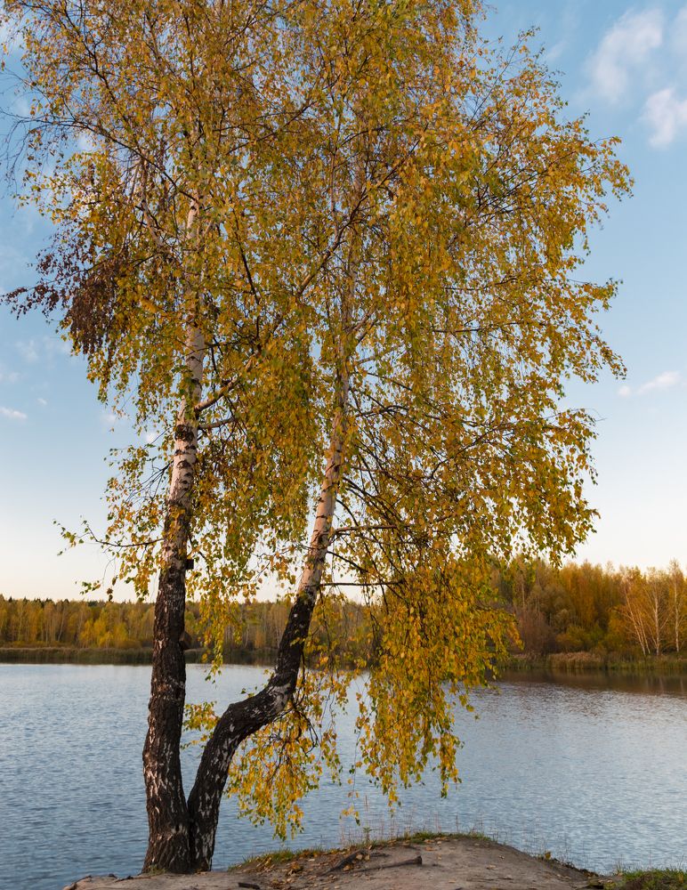 Photograph by Галина Эмберг