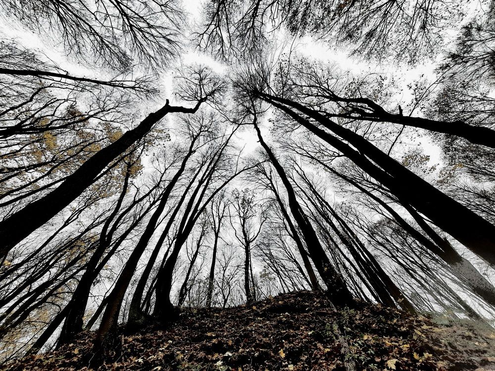 Photograph by Суетинов Евгений