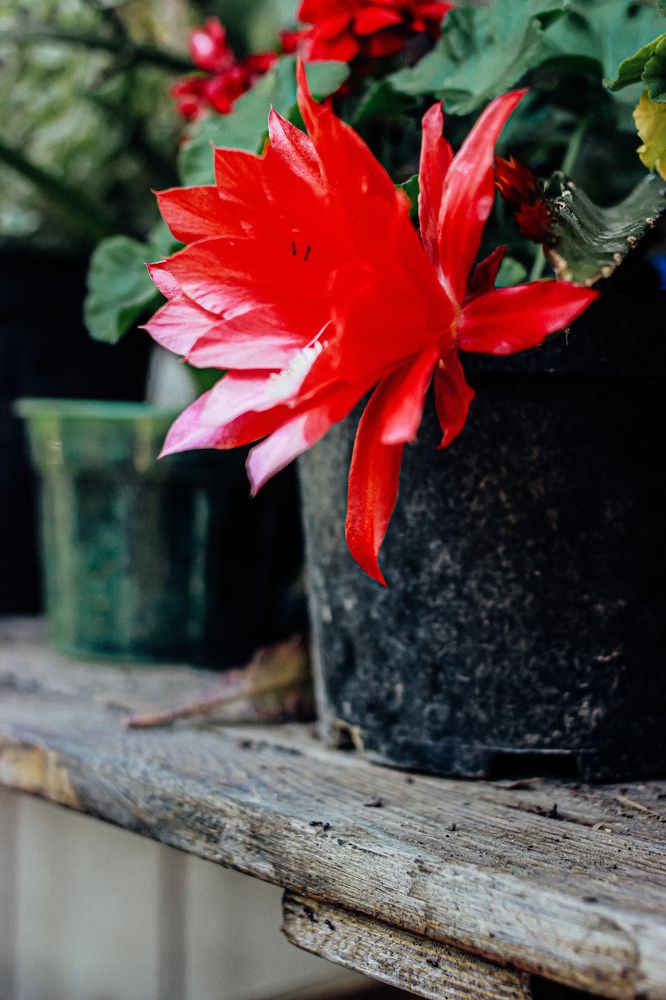 Photograph by Юлия Белозёрова