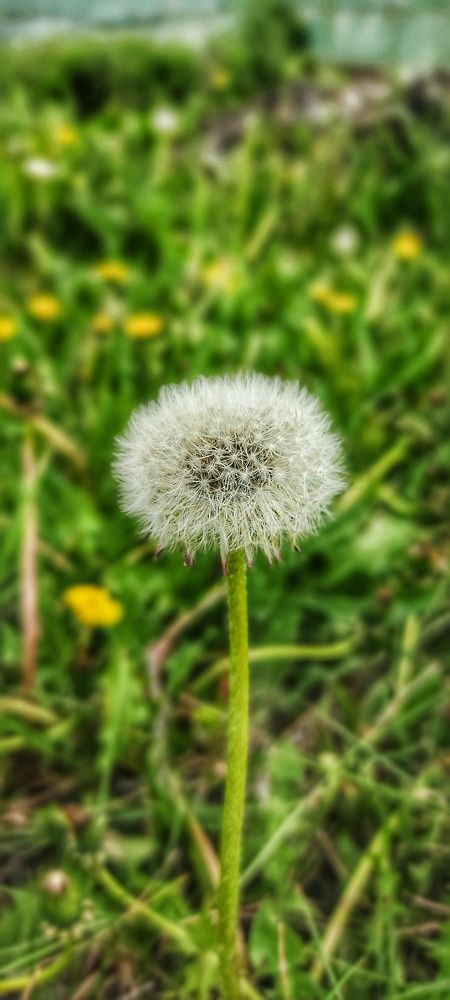 Photograph by Валентин Волк