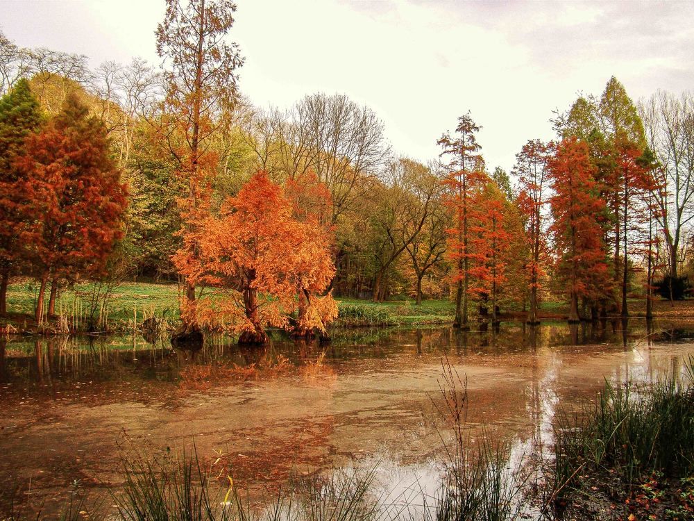 Photograph by Vitalii Kaznin