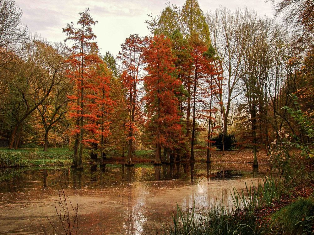 Photograph by Vitalii Kaznin