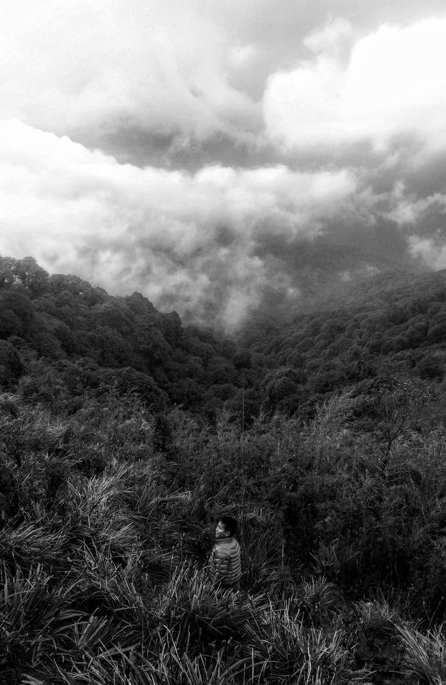 I have found myself amidst nature!
