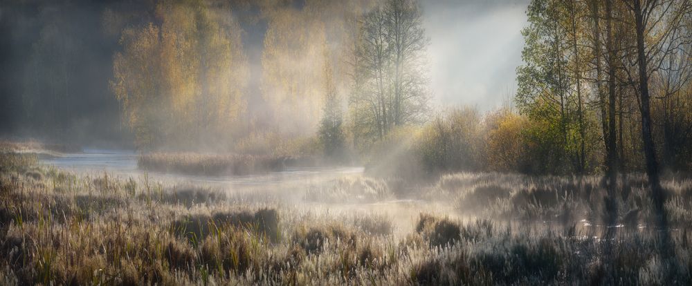 Октябрьское утро на Воронке