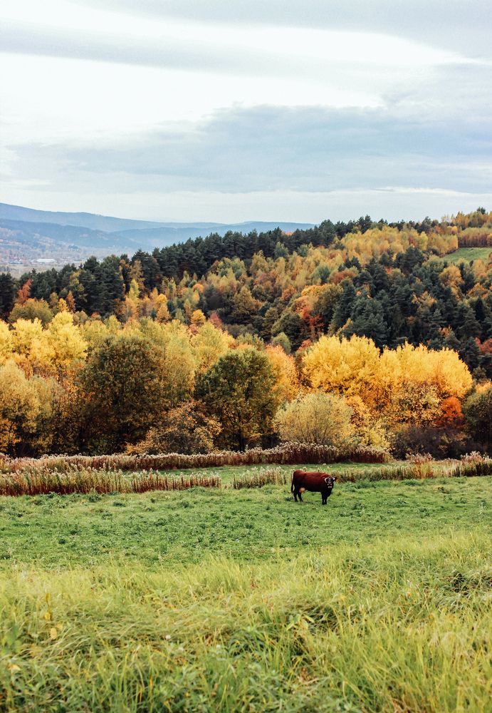 Photograph by Юлия Белозёрова