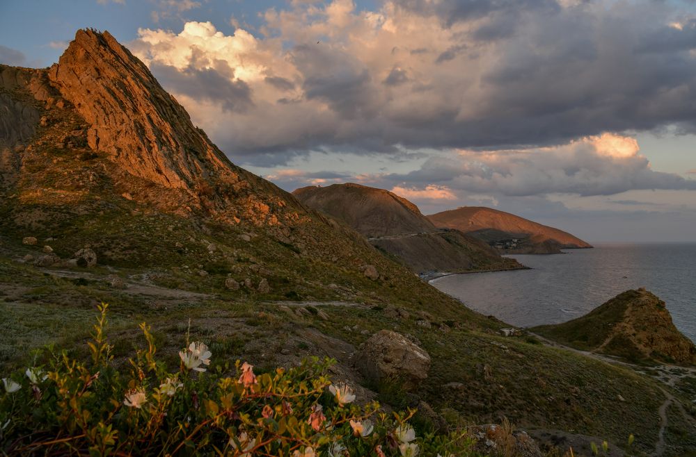 Фотография автора Александра Елагина