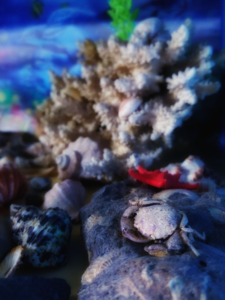 Photograph by Светлана Сергеевна