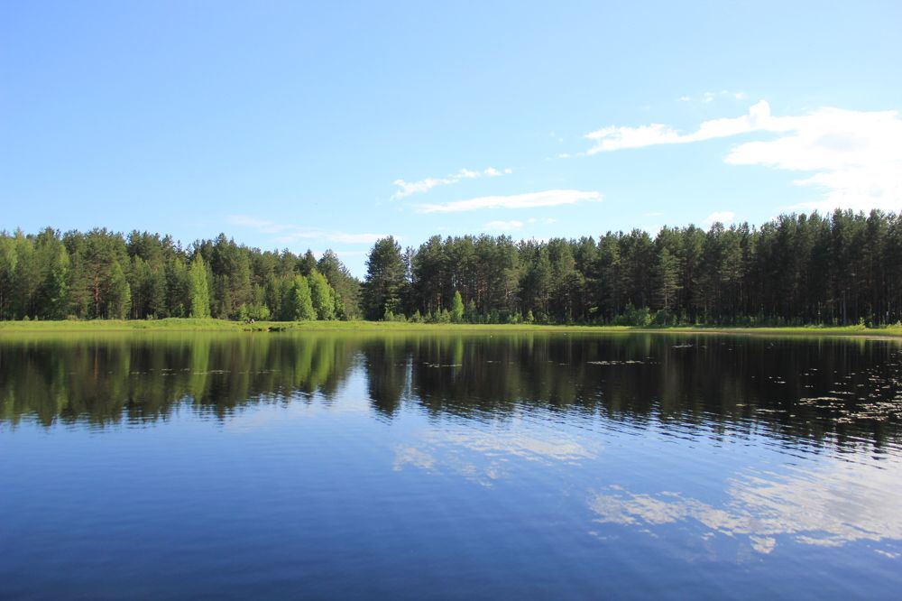 Photograph by Светлана Сергеевна