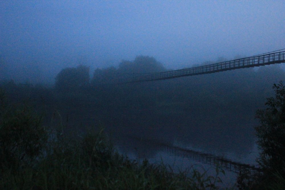 Photograph by Светлана Сергеевна