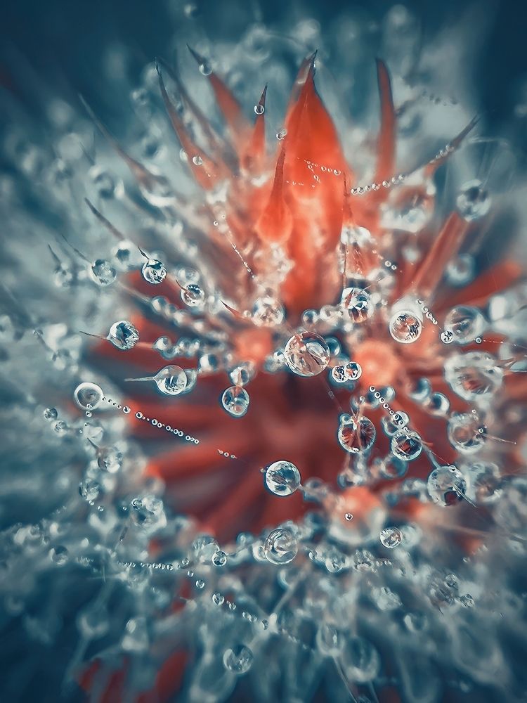 Photograph by Алексей