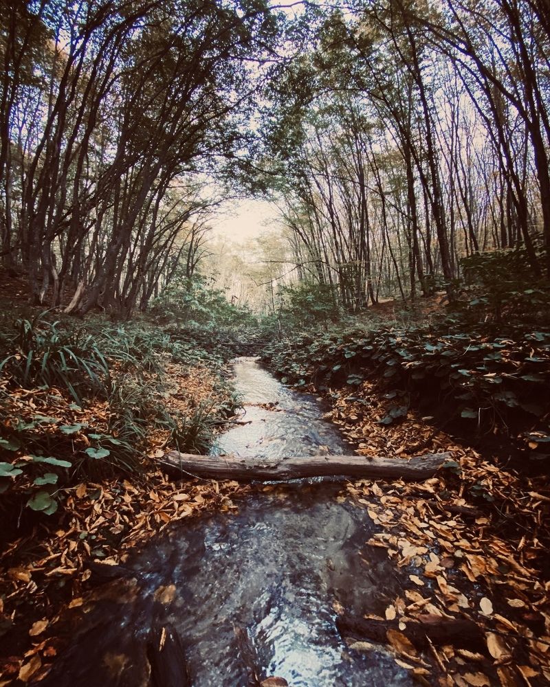 Photograph by Наталья Лукьянчук