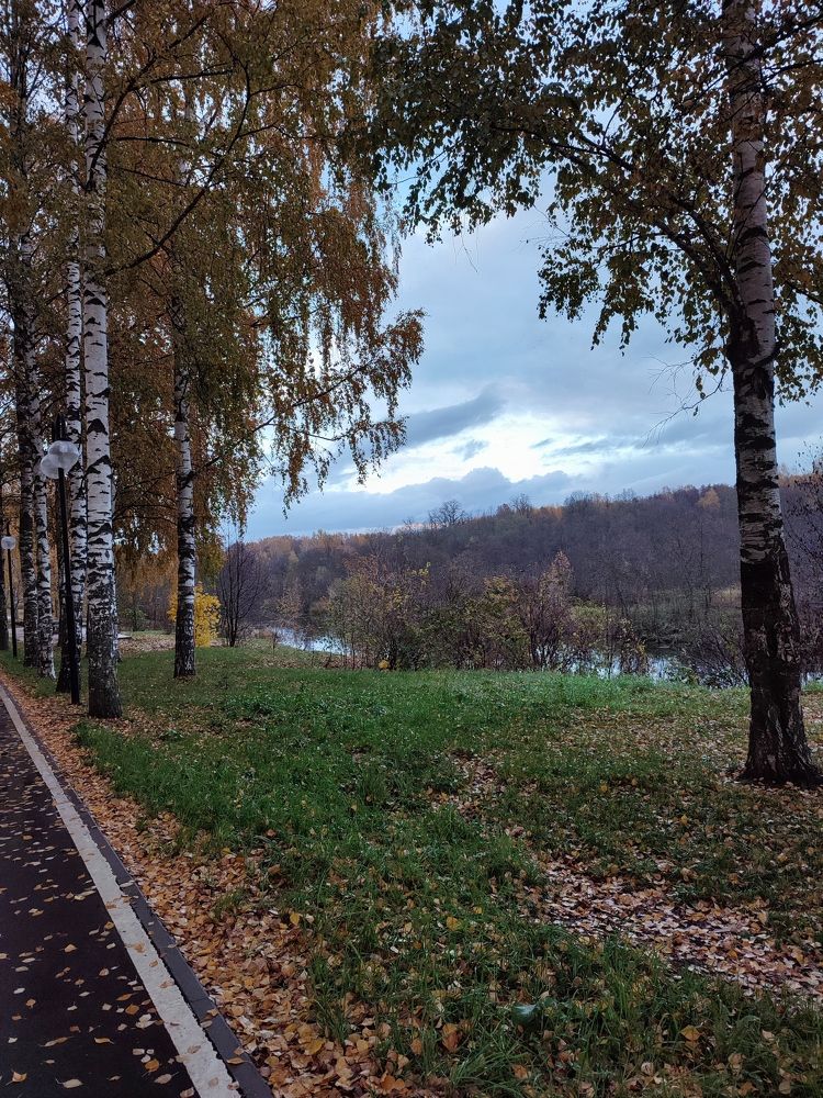 Photograph by DARIA DEMINA