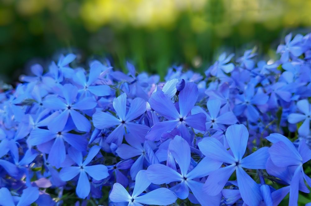 Фотография автора Ольга Кунакова