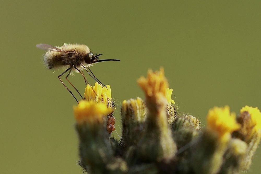 Photograph by Наталья Викарчук