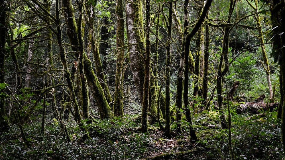 Photograph by Валерий Верещако