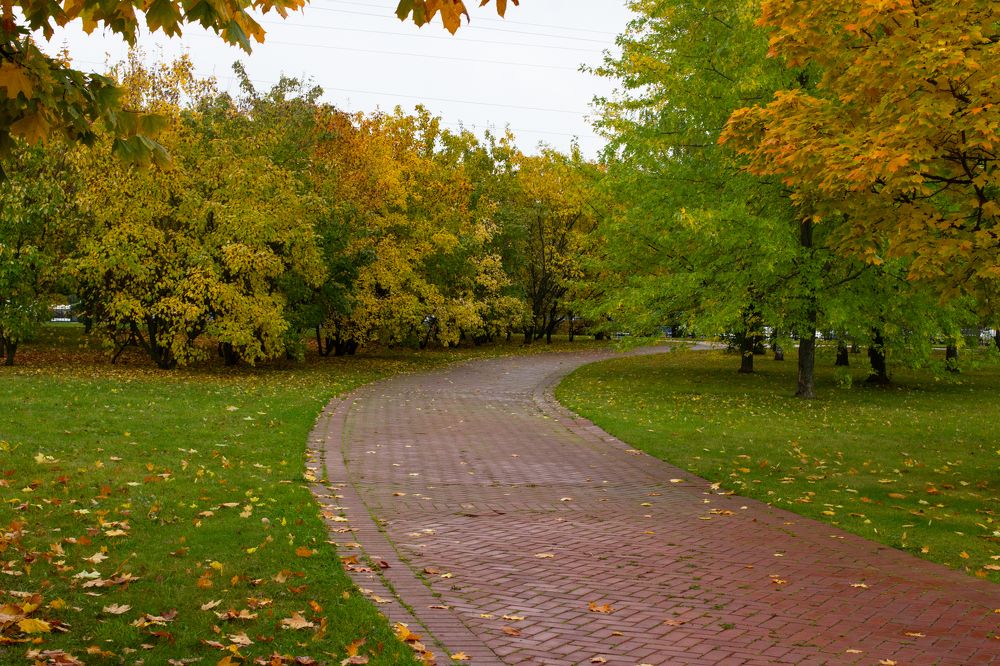 Photograph by Анна Авилочкина