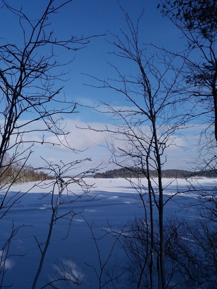 Фотография автора Natali