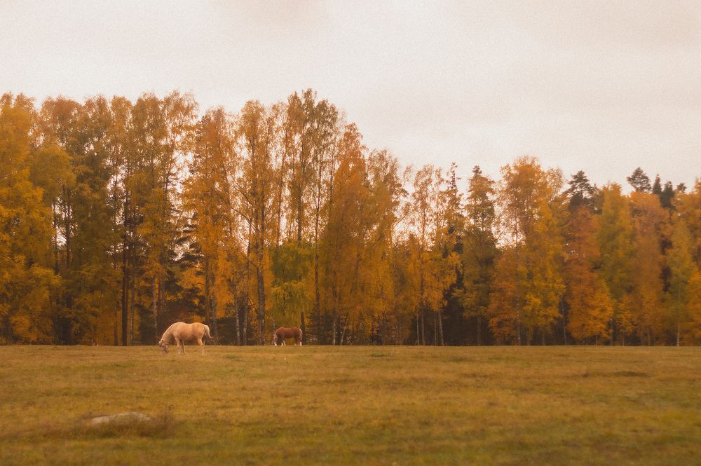 Photograph by Егор