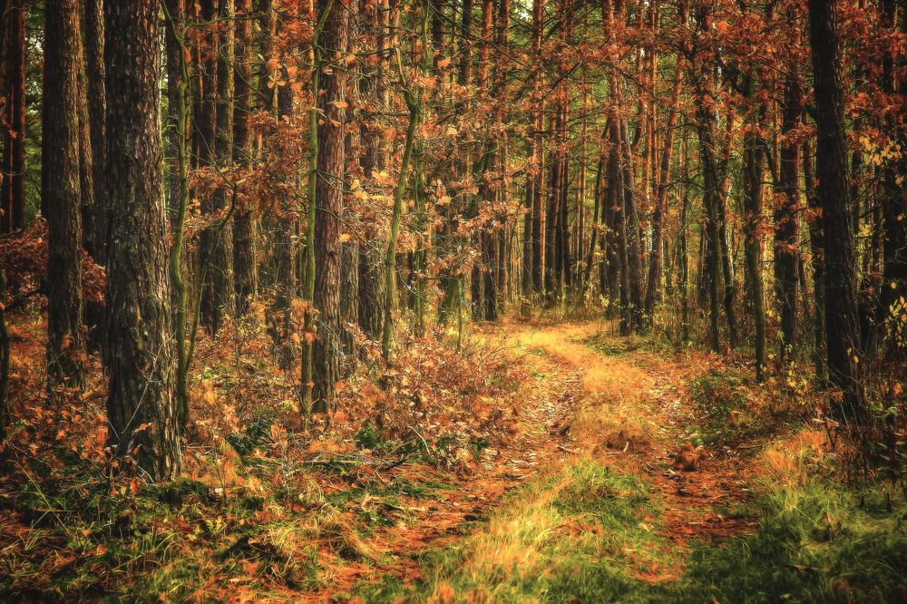 Photograph by Игорь