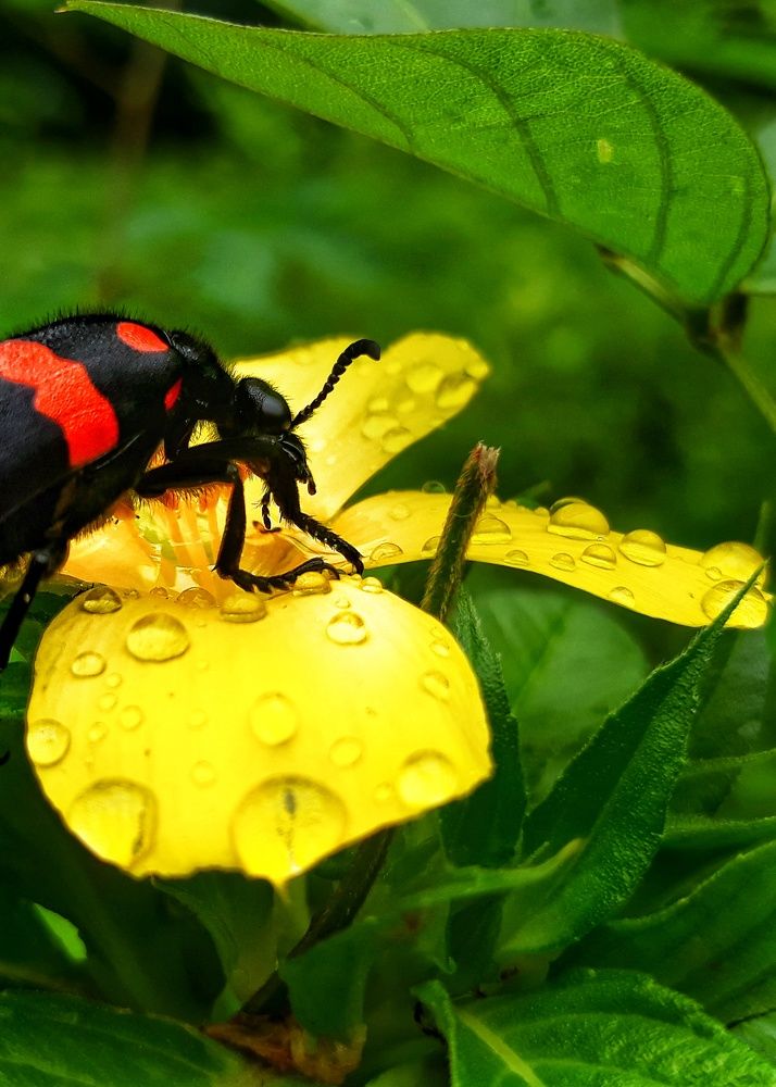 Photograph by Venkatesh Rao