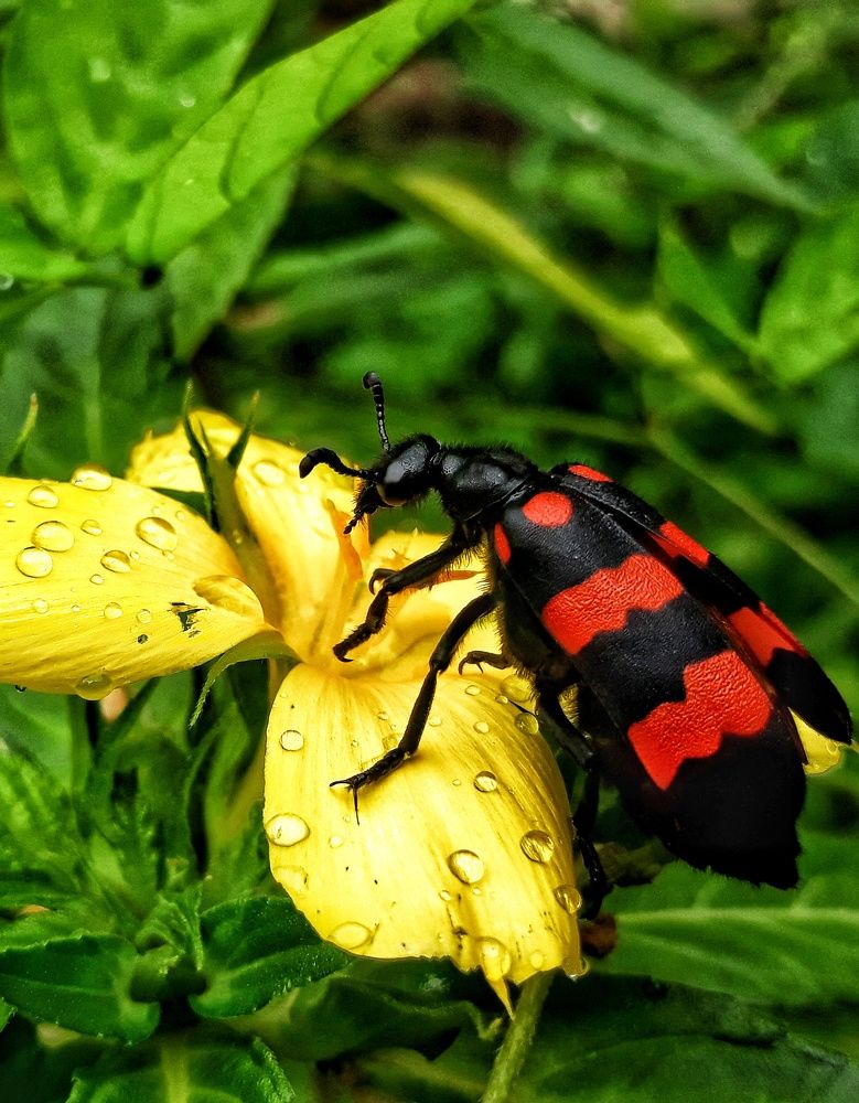 Photograph by Venkatesh Rao