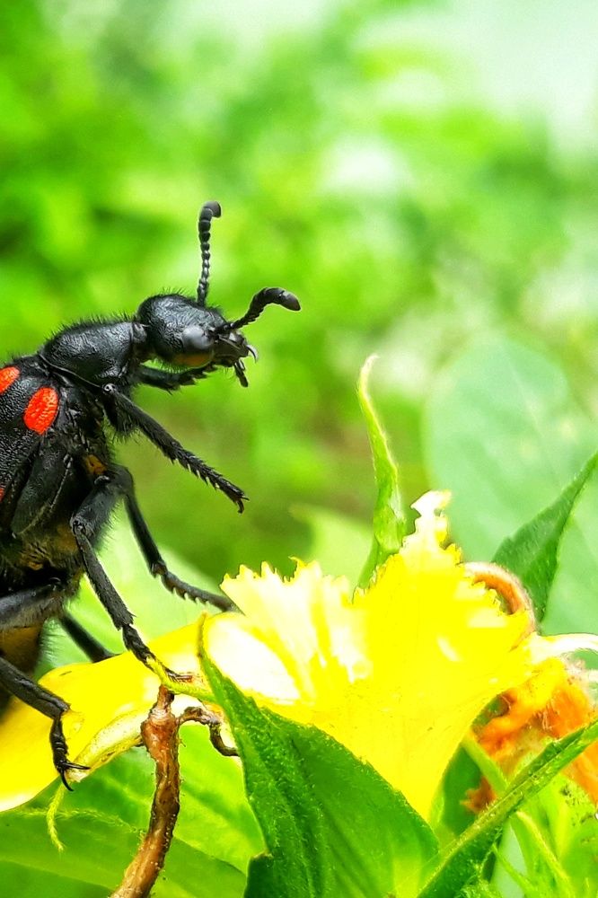Photograph by Venkatesh Rao