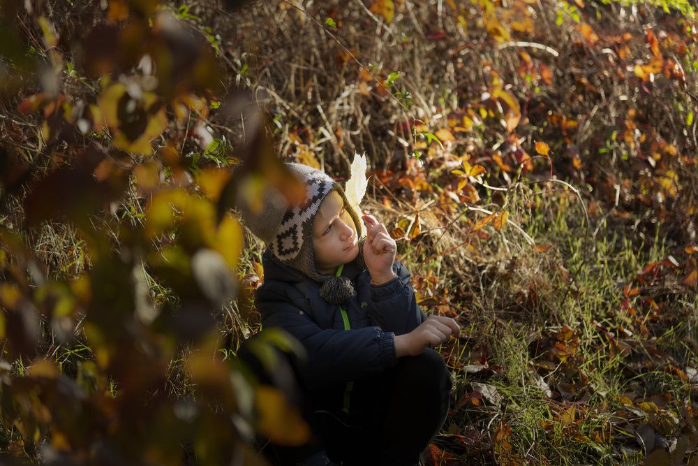 Photograph by Sysoev Konstantin