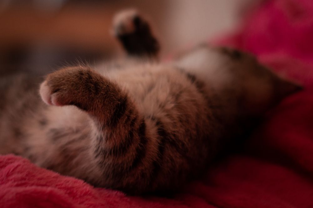 Photograph by Егор