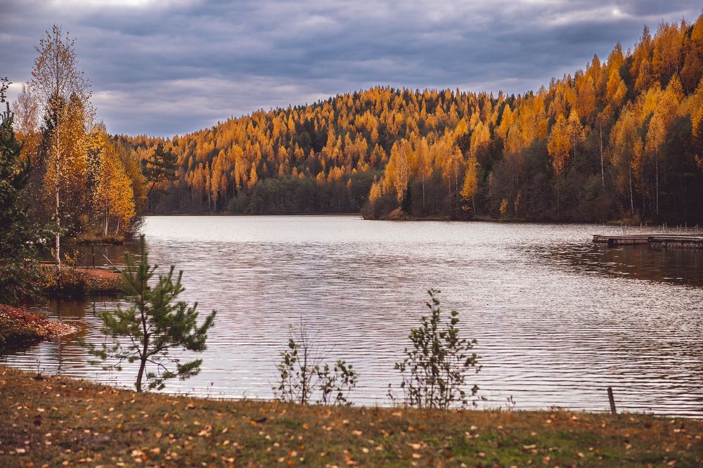 Photograph by Вера Александрова