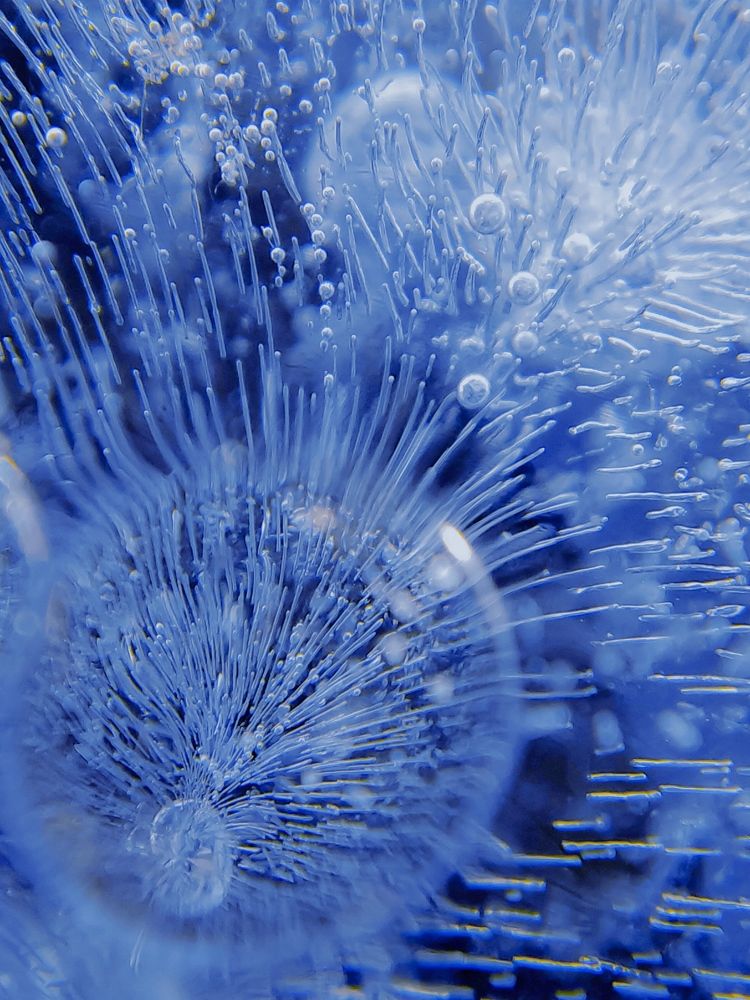 Фотография автора Наталья Алексеева