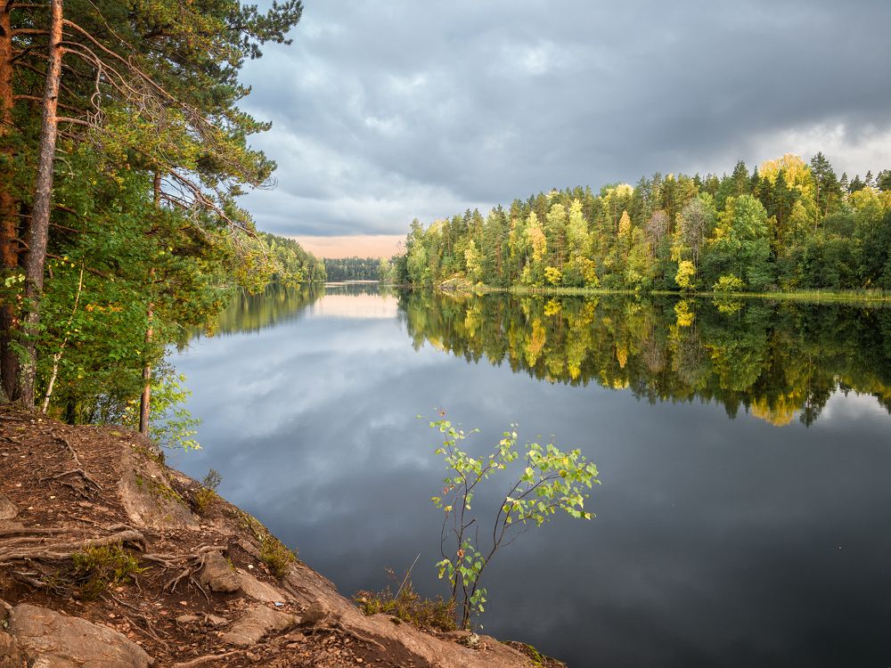 Фотография автора Евгений Кузнецов