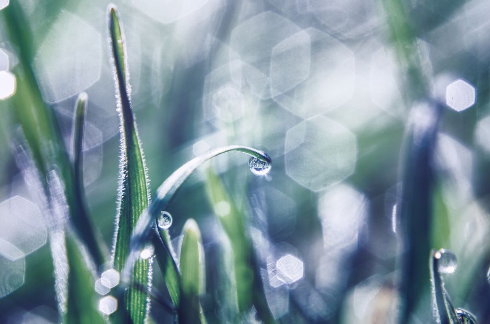 Искрящийся мир