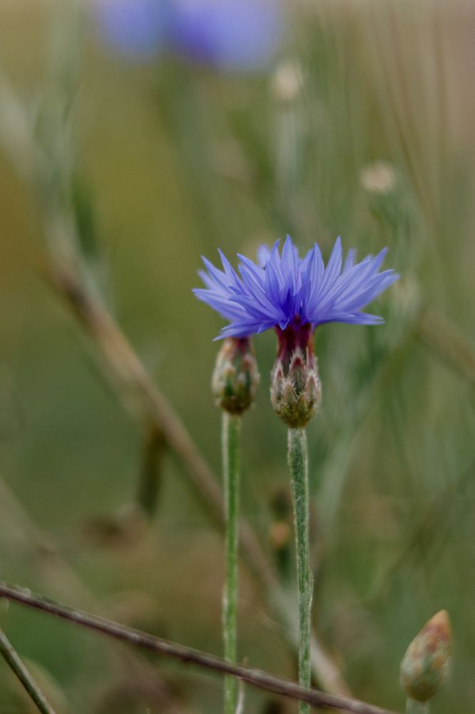 Photograph by Марина Слепова