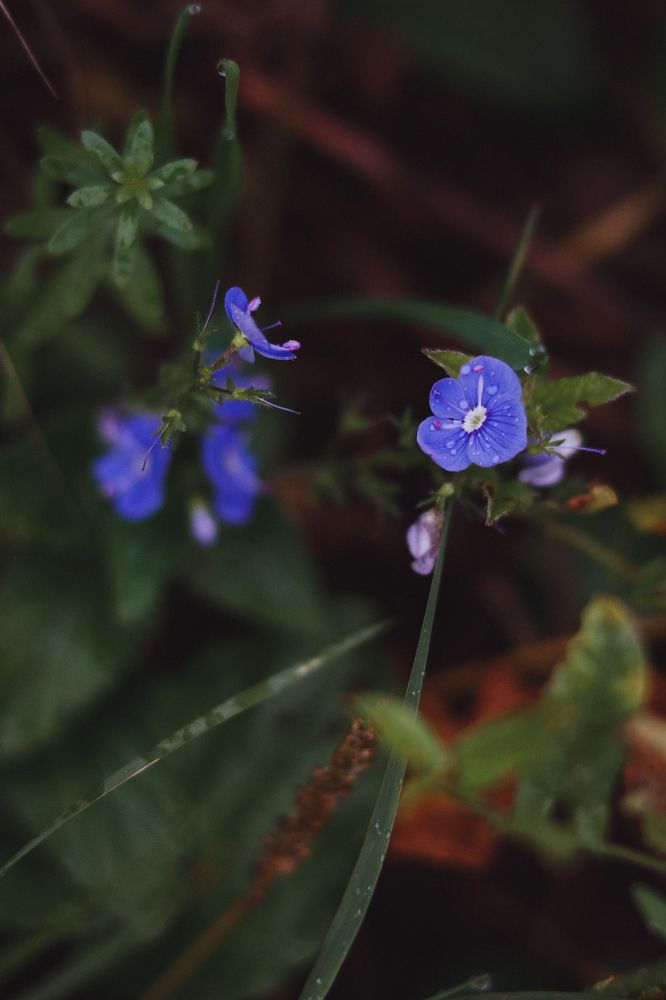 Photograph by Марина Слепова